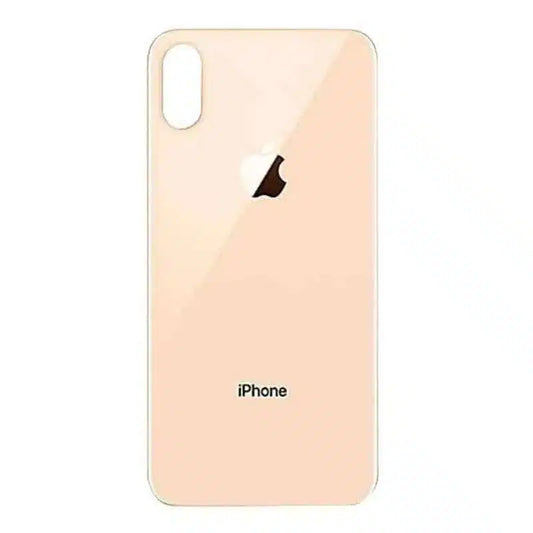 Apple iPhone XS Back Glass